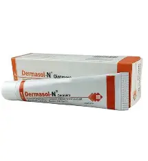 Dermasol-N Ointment 25GM
